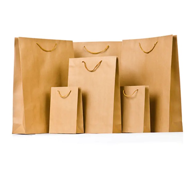¿Son las bolsas de papel personalizadas de alta gama impresas el futuro del embalaje ecológico?
