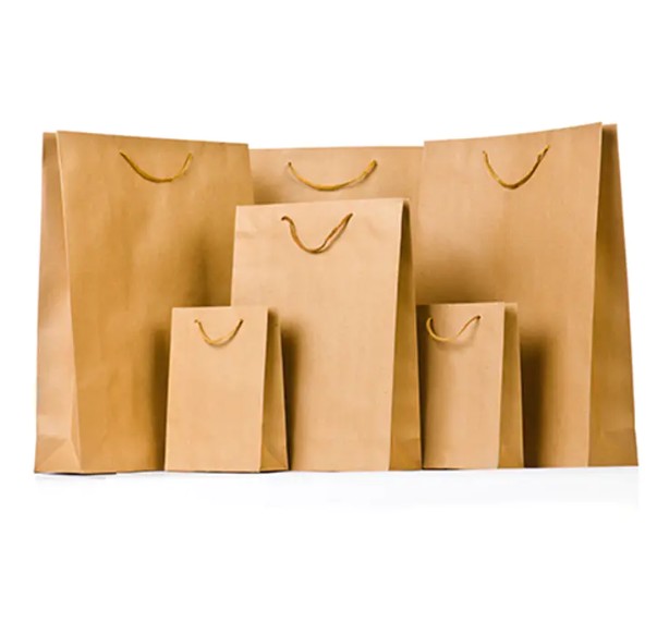 ¿Podrían las bolsas de papel personalizadas de alta gama impresas revolucionar la imagen de su marca?